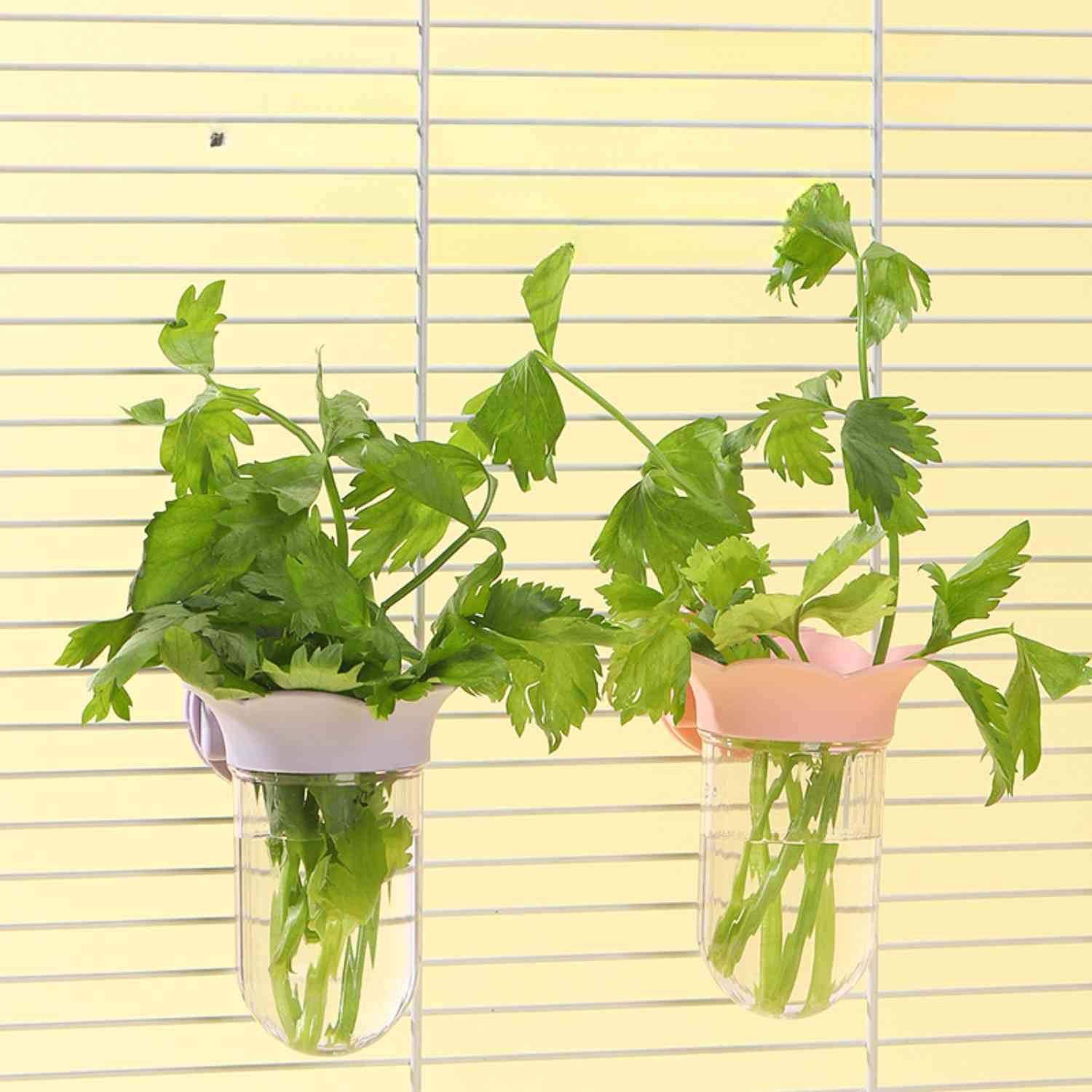 papegaai hydroponische fles met groene planten in kooi